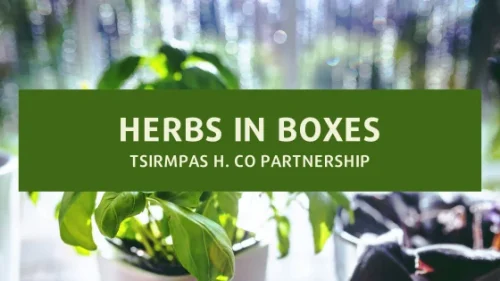 herbs in boxes
